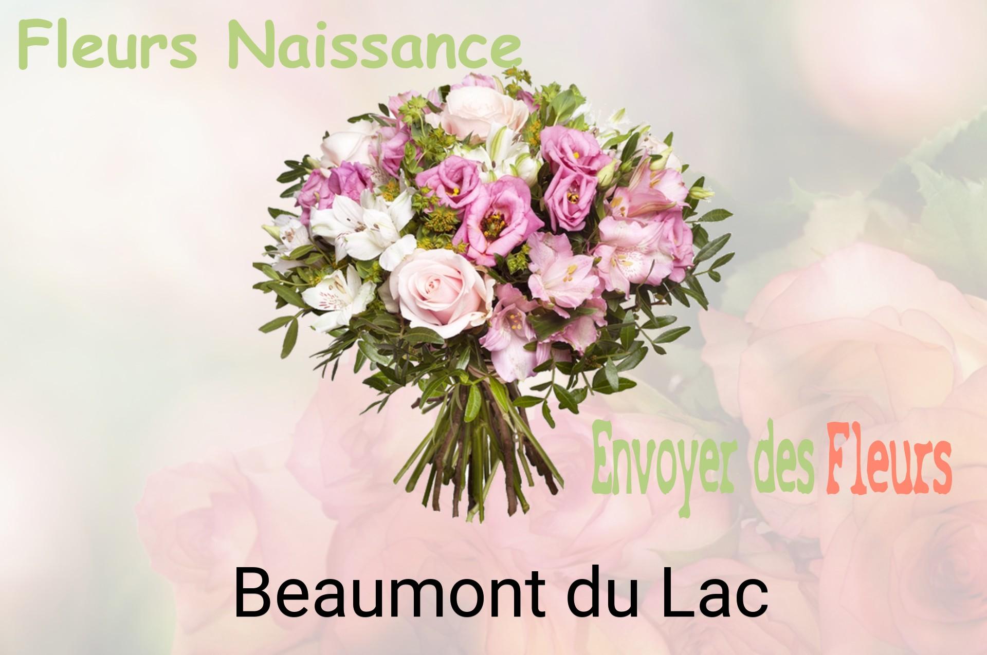 Bouquet de fleurs de naissance livré à Beaumont-du-Lac